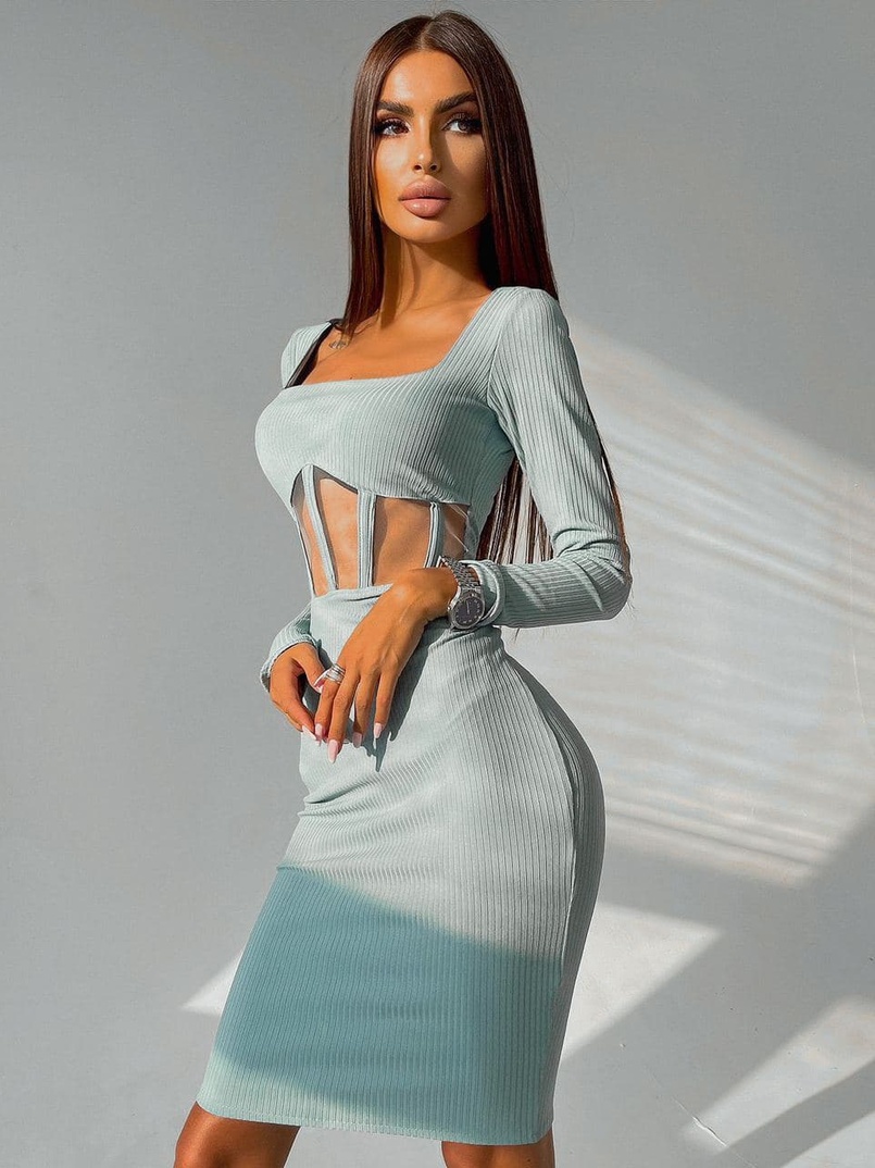 Приталенное платье с корсетной вставкой и юбкой-карандашом Приталенное платье с корсетной вставкой и юбкой-карандашом | PUSHKA SHOP