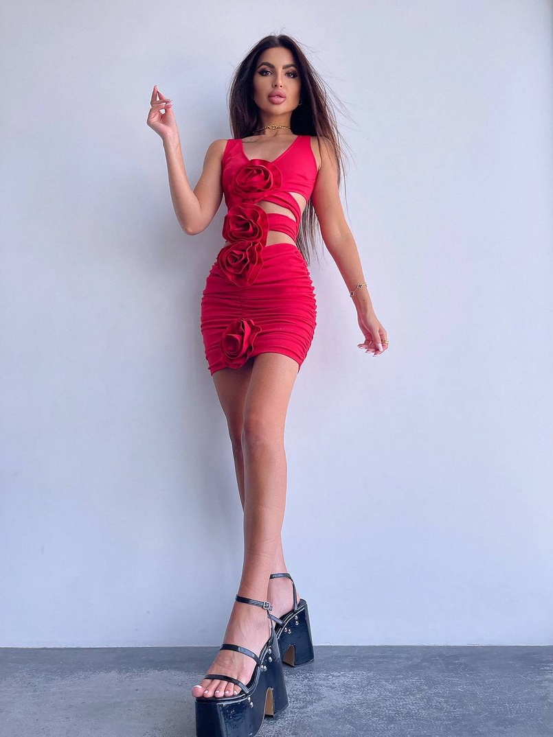 Комплект: топ та спідниця з трояндами    | PUSHKA SHOP