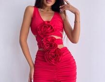 Комплект: топ та спідниця з трояндами    | PUSHKA SHOP