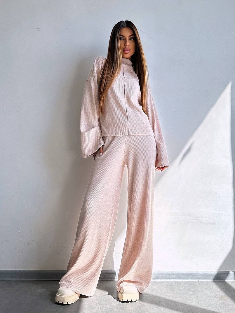 Трикотажний базовий комплект: світшот + штани  | PUSHKA SHOP