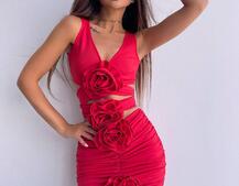 Комплект: топ та спідниця з трояндами    | PUSHKA SHOP