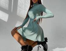 Приталенное трикотажное платье с высоким горлом Приталенное трикотажное платье с высоким горлом | PUSHKA SHOP