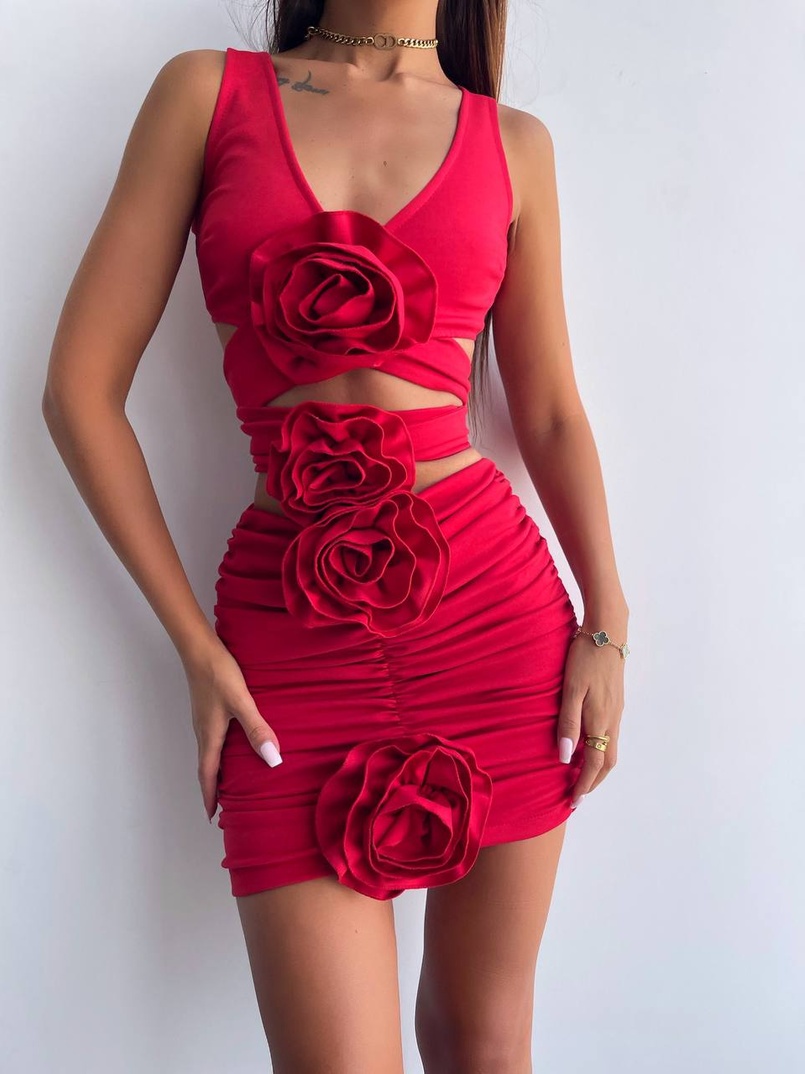 Комплект: топ та спідниця з трояндами    | PUSHKA SHOP