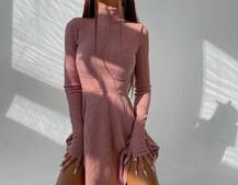 Приталенное трикотажное платье с высоким горлом Приталенное трикотажное платье с высоким горлом | PUSHKA SHOP