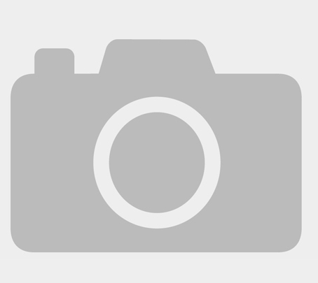 Оксамитова сукня декорована сіткою із стразами  | PUSHKA SHOP